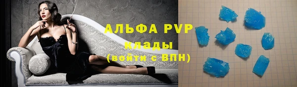 крисы Верея