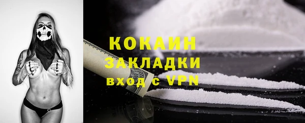 крисы Верея