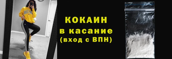 крисы Верея