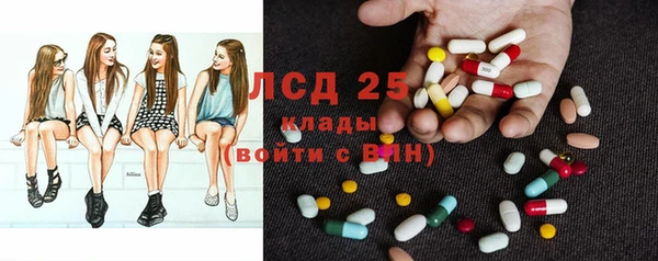 крисы Верея