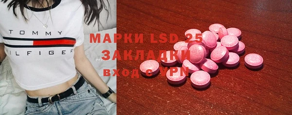 индика Бородино