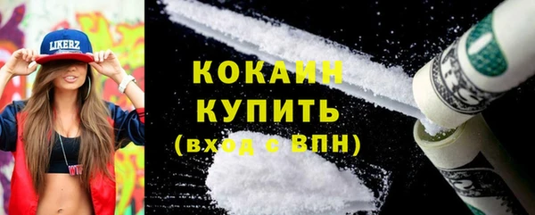 крисы Верея