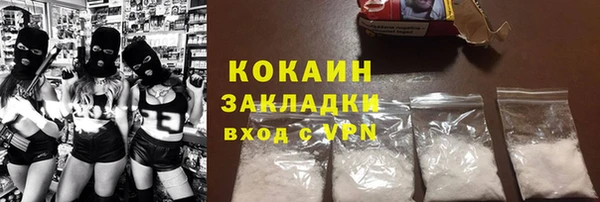 крисы Верея