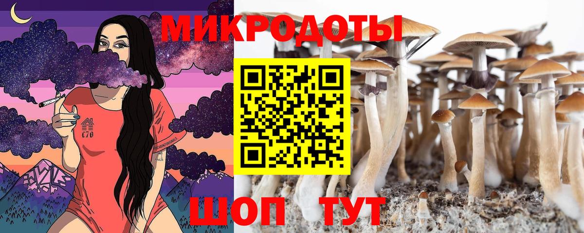 Галлюциногенные грибы GOLDEN TEACHER Ногинск