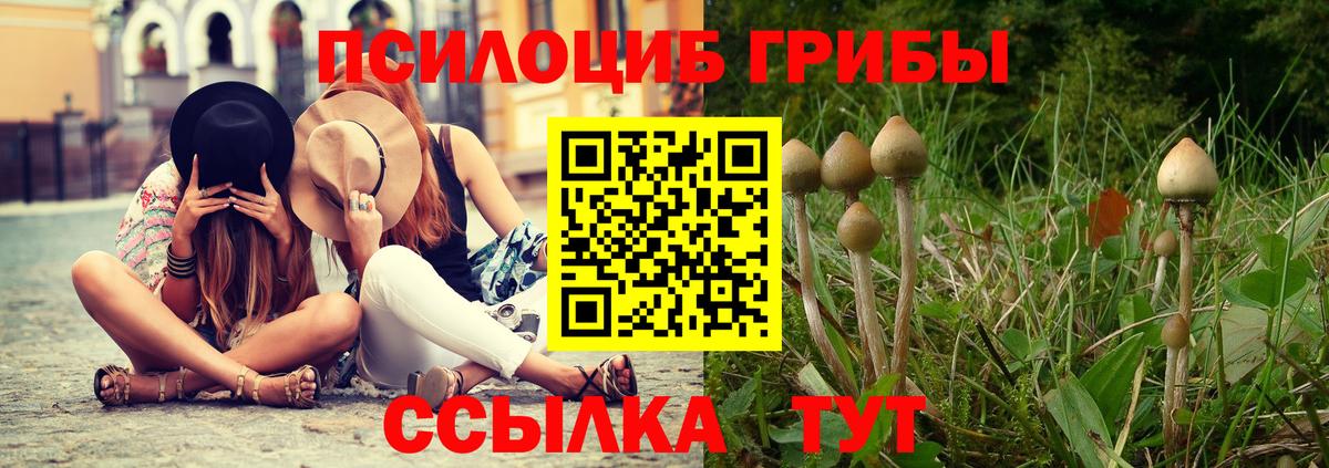 Псилоцибиновые грибы мухоморы Ногинск