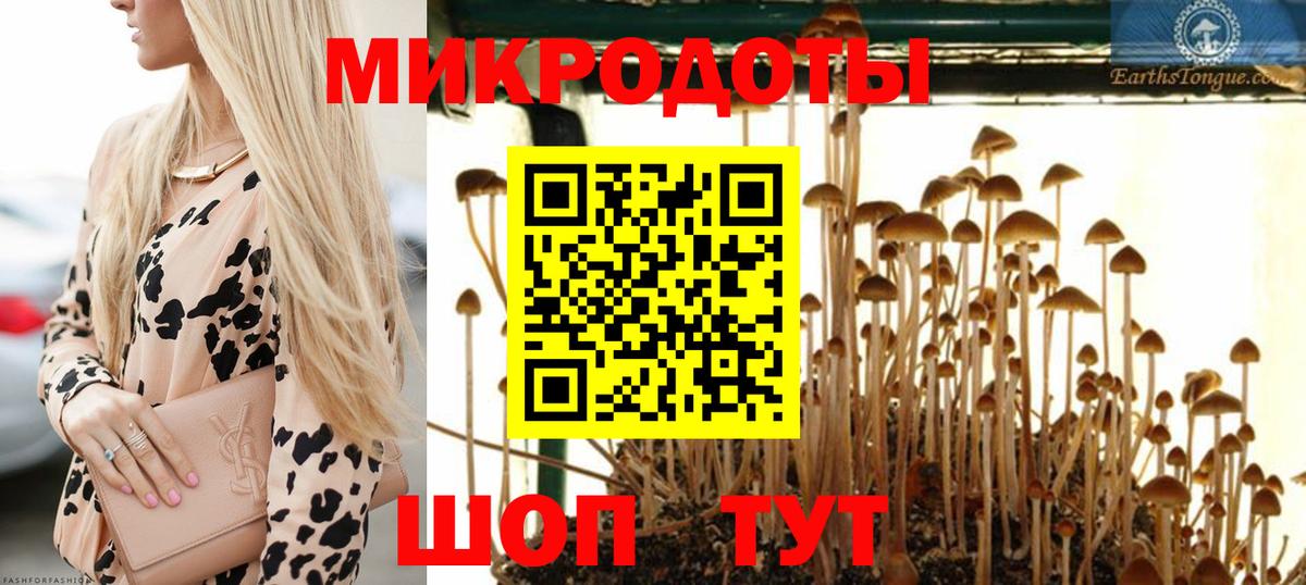 Ногинск  Псилоцибиновые грибы MAGIC MUSHROOMS  Вход с VPN 